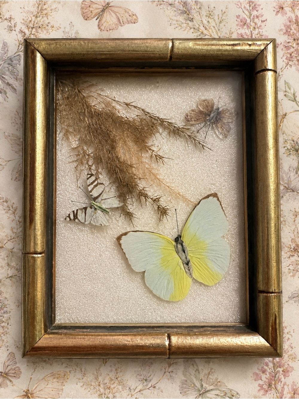 Vintage Framed Butterfly Shadowbox by Zappalorti - Tan & Gold